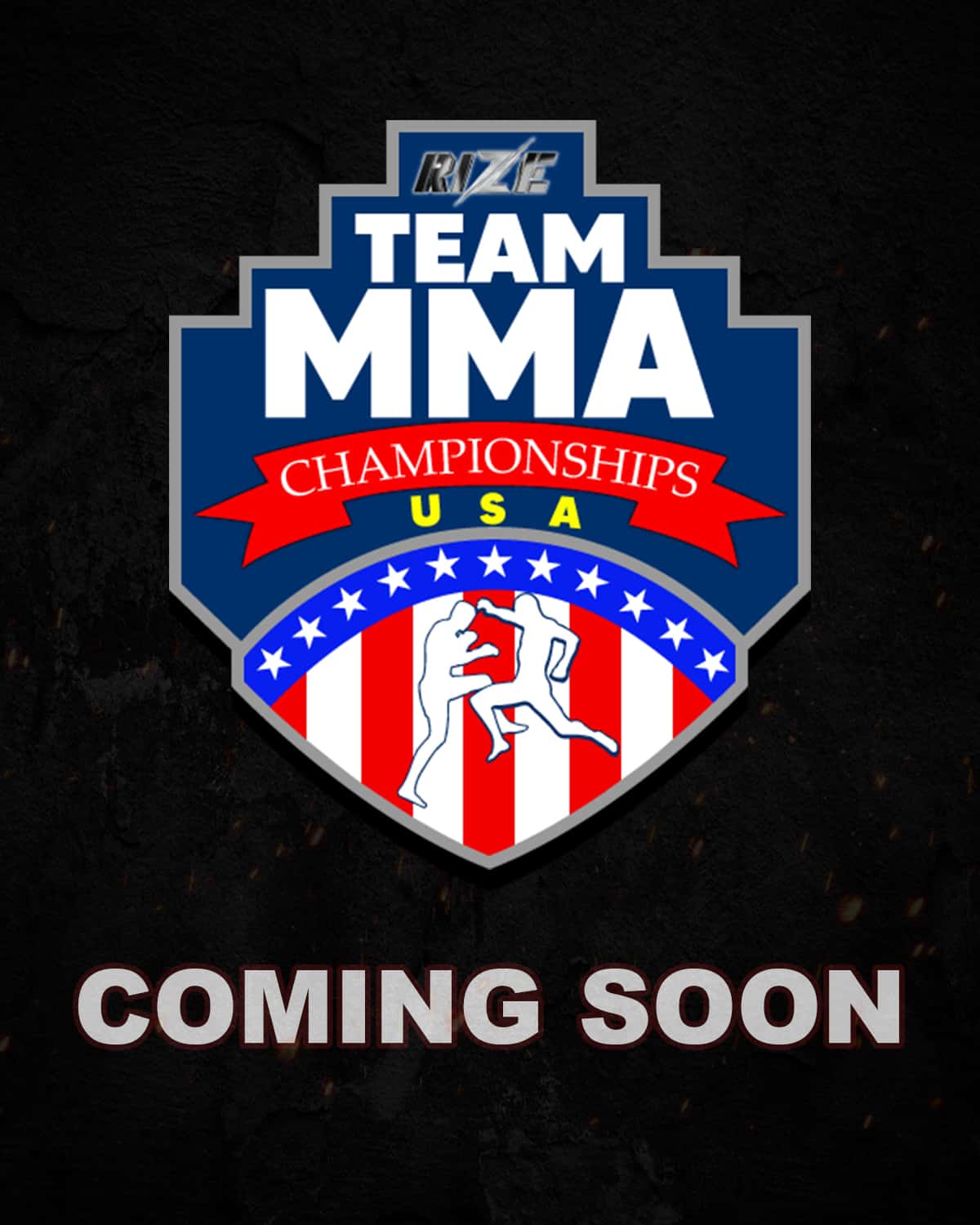 Team MMA 2025 Season